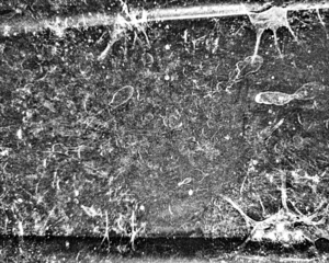 Abstract gritty grunge texture background, rough vintage distress background. Grunge Texture on transparent background. Texture overlay