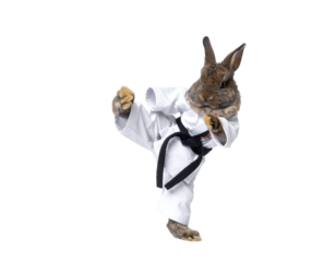Brown Rabbit in Karate Gi Performing High Kick