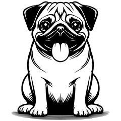 Pug Dog Illustration.
