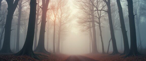 Ethereal forest path illuminated by soft light filtering through dense fog, creating a mystical and atmospheric woodland scene wit