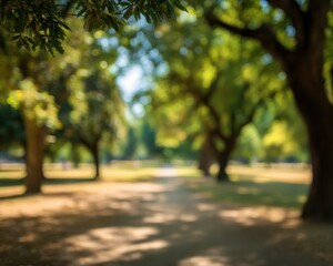 Blurred park scene on a sunny day