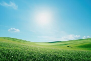 Fototapeta premium Rolling Green Hills and Sunny Blue Sky Landscape View of Peaceful Meadow in Springtime Nature Scene