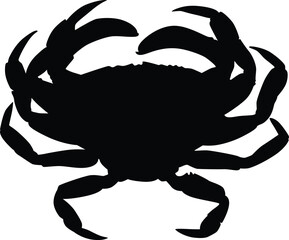 Hand drawn crab silhouette illustration. Ocean animal silhouette.
