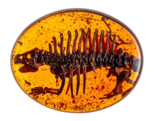 Fossilized Reptile Skeleton in Amber Gemstone