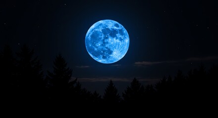Blue Moon Over Forest at Night