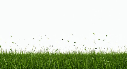 Green Grass with Falling Leaf on White Background