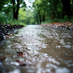 Fototapeta premium Low angle perspective of a shallow stream flowing through a lush green forest after rainfall creating a tranquil scene
