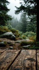 Rustic Wooden Plank Overlooking Misty Forest Scene