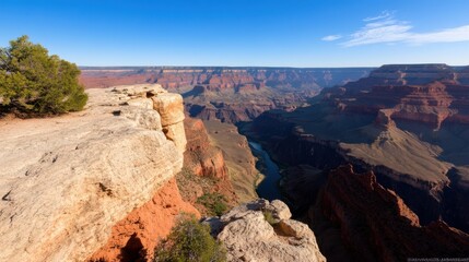 Visitors enjoy the stunning vista from the Grand Canyon rim, where rocky cliffs meet the winding Colorado River below under a clear blue sky early in the day