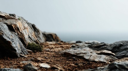 Rocky Coastal Scene: Rustic Textures and Misty Serenity