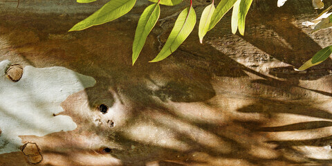 Natural Tree Bark banner with green leaf and dark shadows from leaves at sunlight, Earthy Tones...