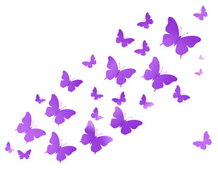 A vibrant swarm of purple butterflies in flight