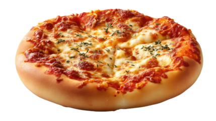 Cheesy Pizza Delight: A close-up of a freshly baked cheese pizza, with gooey mozzarella, a tangy tomato sauce base, and a golden crust. The pizza is a visual feast.
