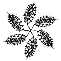 Round spiral star shape mandala with floral motifs. Hand drawn linear doodle rough sketch. Black and white silhouette.