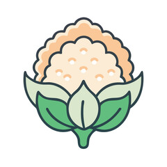 Stylized vector graphic depicting fresh and organic cauliflower head