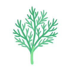 Stylized dill illustration on black background for food design