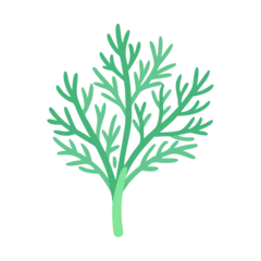 Stylized dill illustration on black background for food design © Sharuzzaman