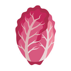 Minimalist vector illustration of a red radicchio vegetable on black