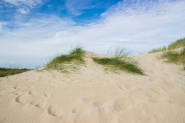 the dunes, Renesse, Zeeland, the Netherlands