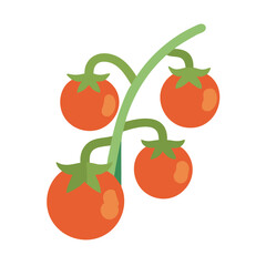 Graphic illustration of vine tomatoes on a black background