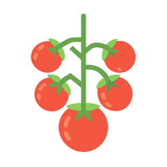 Branch of ripe tomatoes, flat design on black background