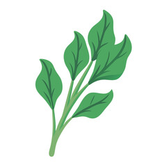 Illustration of leafy green herbs on black background graphic