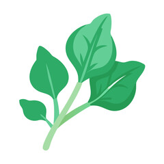 Bright green watercress sprig on a black background illustration