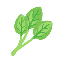 Fresh spinach leaves on a black background, simple illustration
