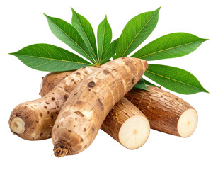 A collection of raw cassava roots, some whole and some cut, with fresh green leaves.