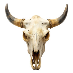 Longhorn Skull Decor Western Ranch Animal Skull Wall Decor