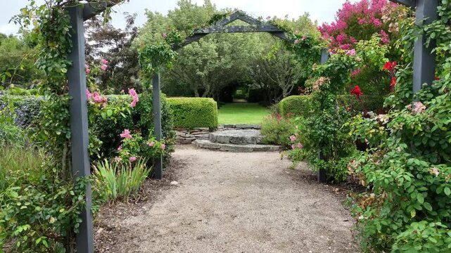 Drone shot walking through an arbor covered with pink roses