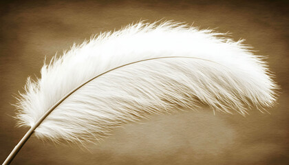 Single white feather against a sepia background; elegant, delicate, and graceful; perfect for design projects needing a touch of nature's beauty.