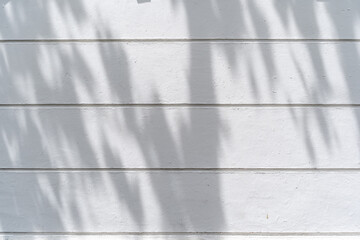 Shadow of palm leaves sway in the wind on white wall background