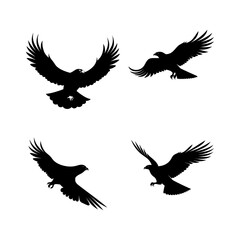 Obraz premium Flying hawk silhouette on white vector set