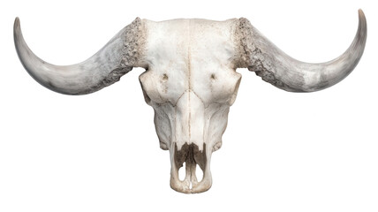 Obraz premium Realistic Skull of a Buffalo Transparent Background