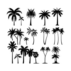 Palm Tree Silhouette set clipart on a white background