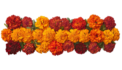 Marigold Flower rangoli Design for Diwali Festival , Indian Festival flower decoration