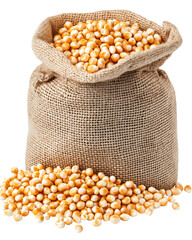 Burlap Sack Filled with Golden Corn Kernels and Overflowing Pile