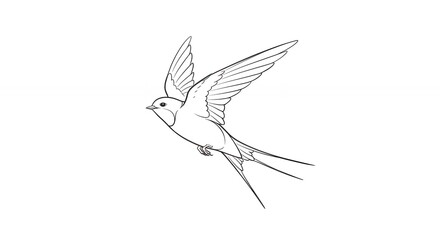 Line drawing of a bird in flight against a white background