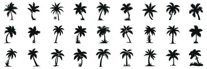 Fototapeta premium Palm tree silhouette vector collection. Tropical landscape elements, perfect for exotic designs, nature illustrations, beach-themed projects, and summer artwork