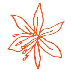 abstract floral sketch design