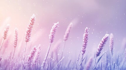 Naklejka premium Pastel winter floral scene of frosted grasses.