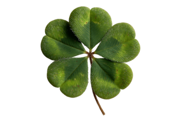 Four Leaf Clover on Transparent Background, PNG