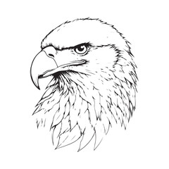 Vintage engraving Eagle retro vector illustration art design.
