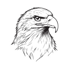 Vintage engraving Eagle retro vector illustration art design.