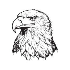 Vintage engraving Eagle retro vector illustration art design.