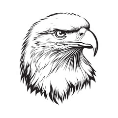 Vintage engraving Eagle retro vector illustration art design.