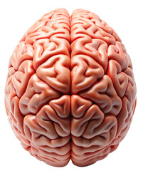 3d rendered illustration of human brain generative ai