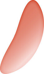 Translucent Glossy Shapes – Abstract Semi-Transparent Elements for Versatile Creative Use