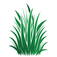 Green Blades of Grass Isolated on White